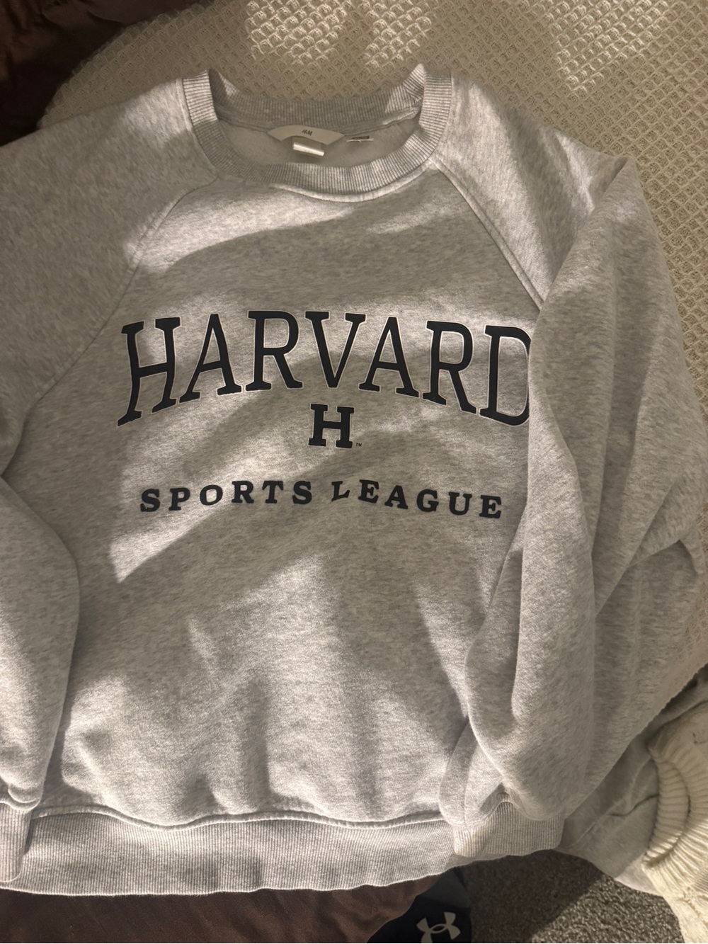 H&M Gray Crewneck Sweatshirt with Navy Harvard Print